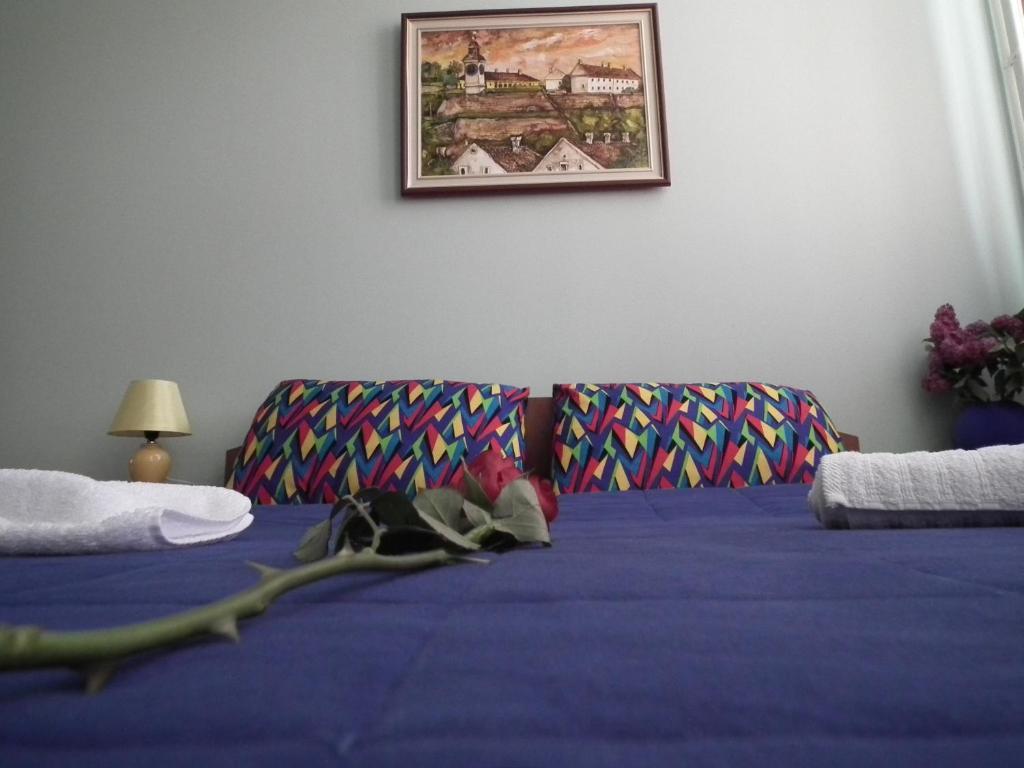 Nasa Tvrdava Guest Accommodation Novi Sad Quarto foto